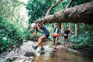 BIB: 
                            <button type="button" onclick="openModal(25369500)" class="btn btn-primary btn-sm float-right btn-popup" data-toggle="modal" data-target=".modal-high-quality">
                        <i class="fas fa-shopping-cart"></i> Add to Cart
                    </button>
                                            <button type="button" onclick="isThisMe(25369500, true)" class="btn btn-success btn-sm float-right btn-popup btn-isme hidden" data-toggle="tooltip" data-placement="bottom" title="นี่คือรูปของคุณใช่ไหม คลิกที่นี่เพื่อเอาเข้าอัลบั้ม">
                        <i class="fas fa-plus"></i> Add to album
                    </button>
                    <button type="button" onclick="isThisMe(25369500, false)" class="btn btn-warning btn-sm float-right btn-popup btn-isnotme hidden">
                        <i class="fas fa-ban"></i> Remove from album
                    </button>